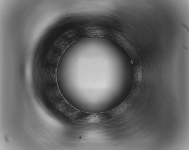 X0000100880764200806201246