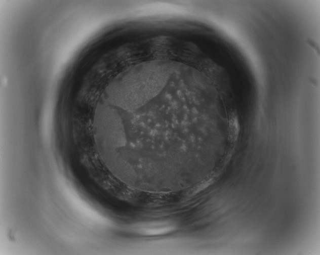 X0000100880765200806201246