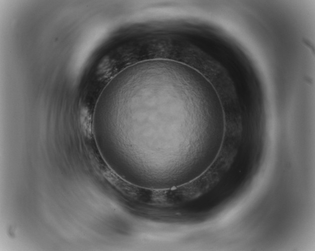 X0000100880766200806201246