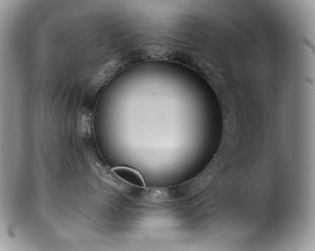 X0000100880768200806201246