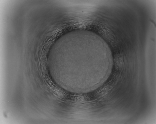 X0000100880769200806201245