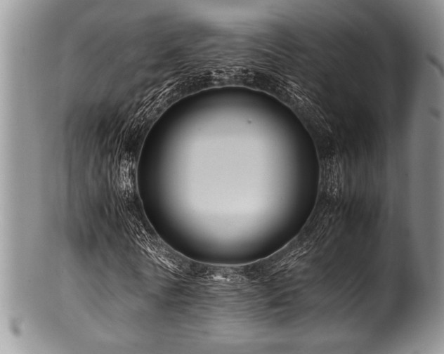 X0000100880770200806201245