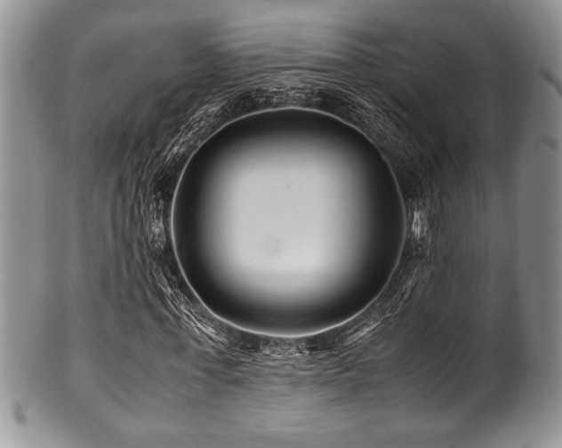 X0000100880771200806201245