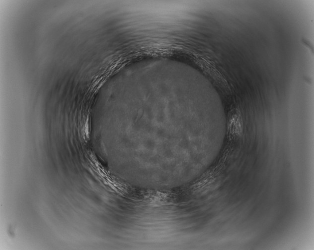 X0000100880772200806201245
