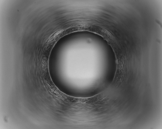 X0000100880773200806201245
