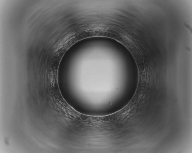 X0000100880774200806201245