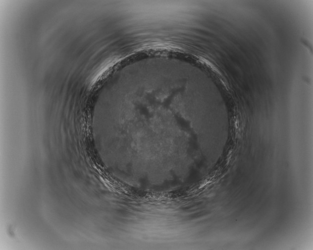 X0000100880775200806201245