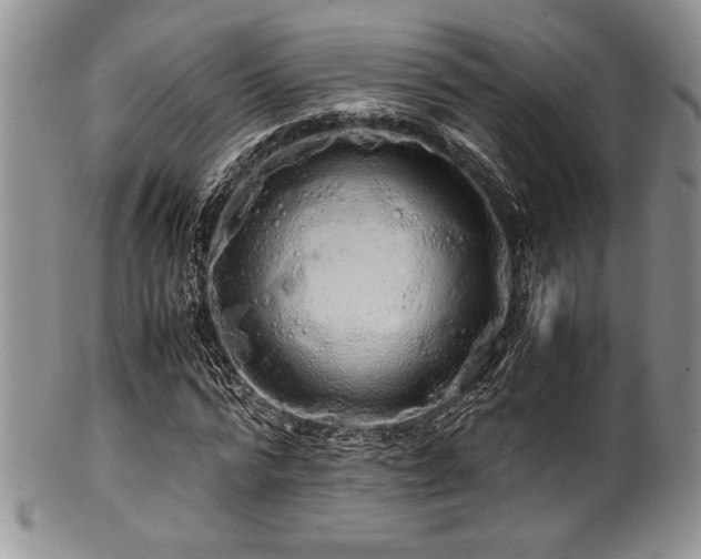 X0000100880776200806201245