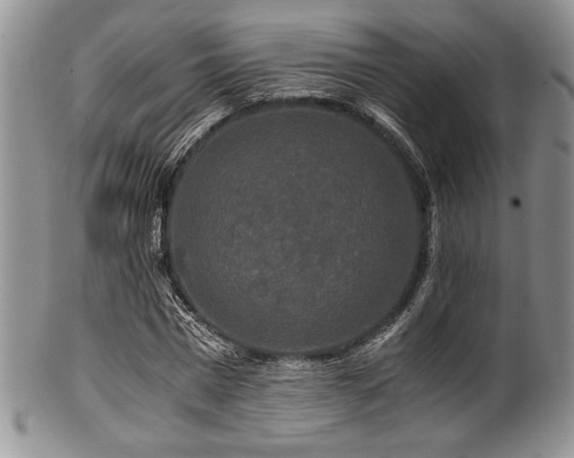 X0000100880777200806201245