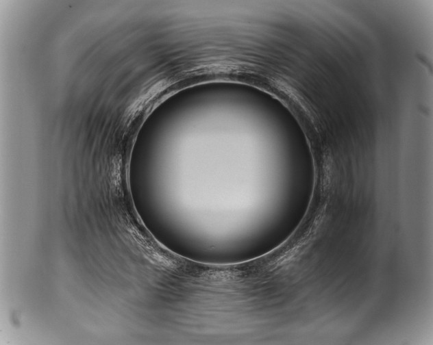 X0000100880778200806201245