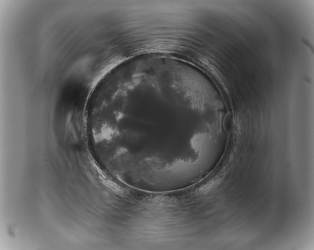X0000100880779200806201245