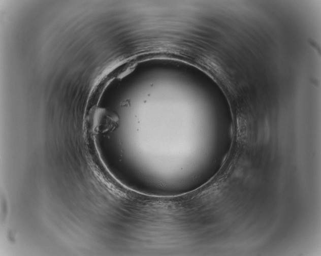 X0000100880780200806201245