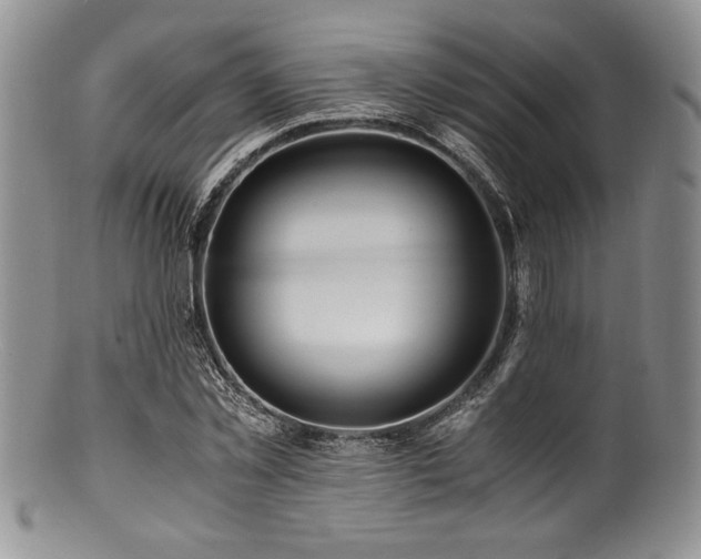 X0000100880781200806201245