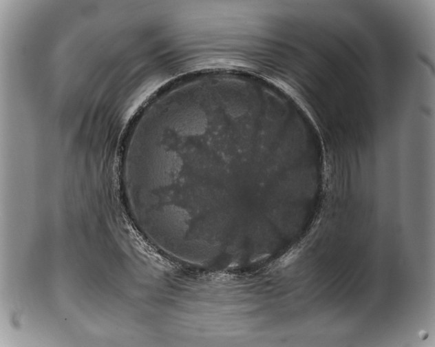 X0000100880783200806201245