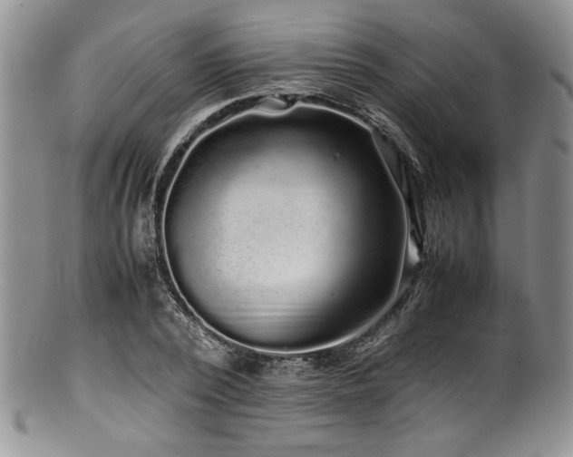 X0000100880784200806201245
