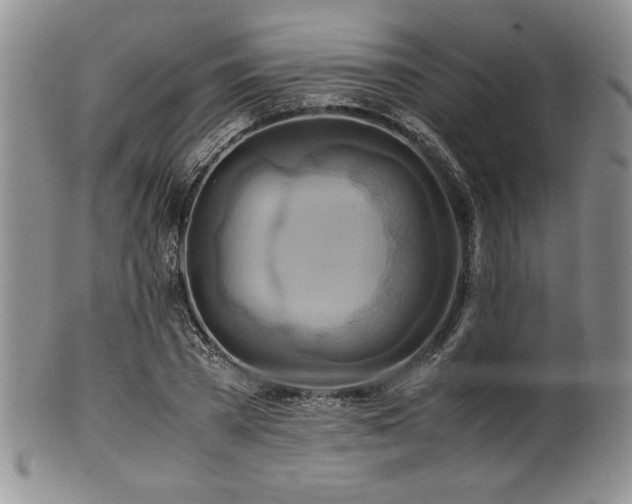 X0000100880785200806201245