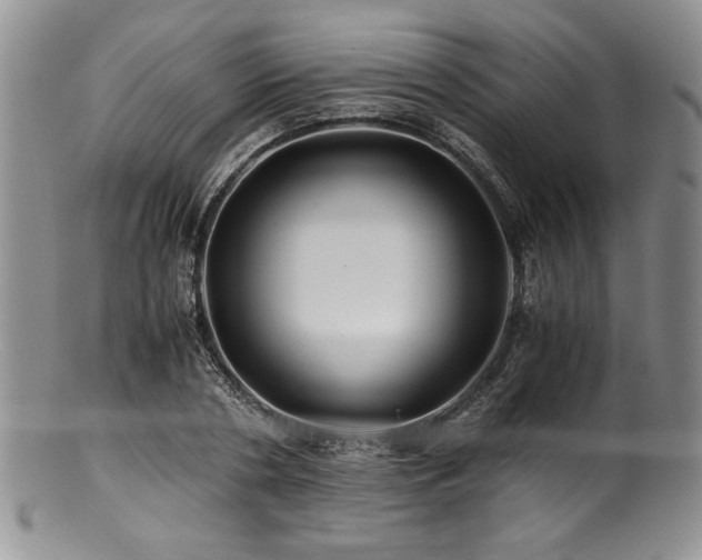 X0000100880786200806201245