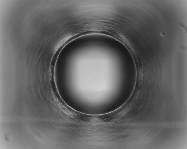 X0000100880787200806201245