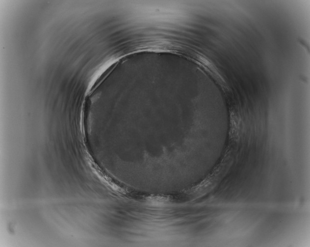 X0000100880788200806201245