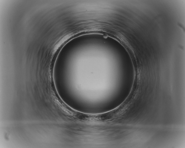 X0000100880789200806201245