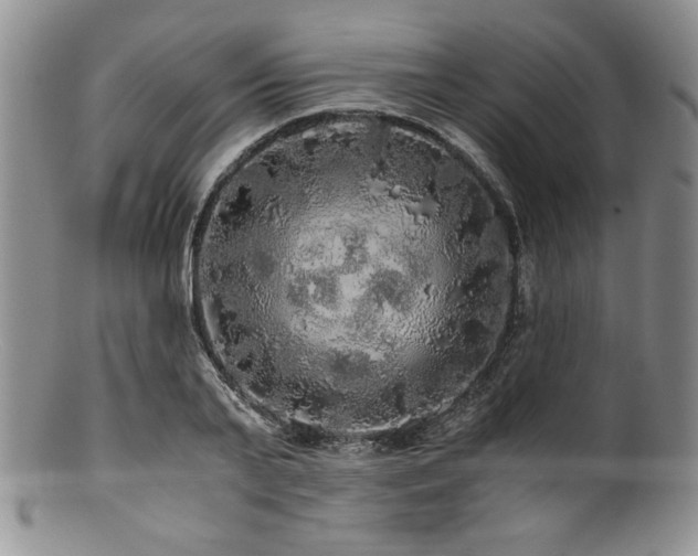 X0000100880791200806201245