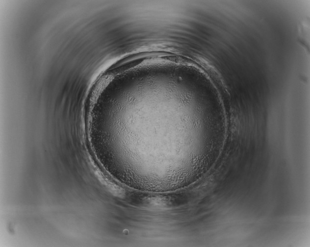 X0000100880792200806201245