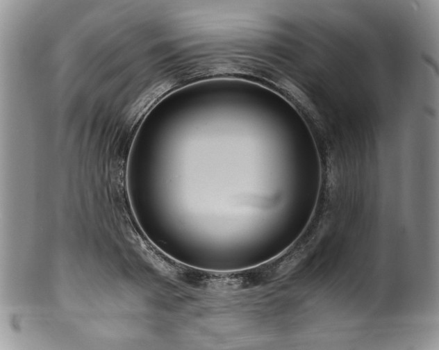 X0000100880793200806201245