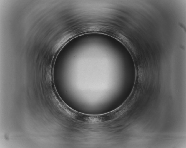 X0000100880794200806201245