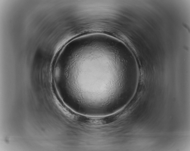 X0000100880795200806201245