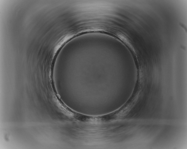 X0000100880797200806201245