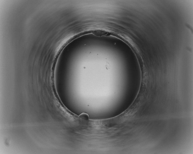 X0000100880799200806201245