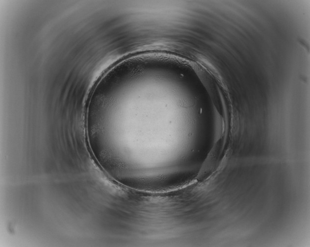 X0000100880800200806201245