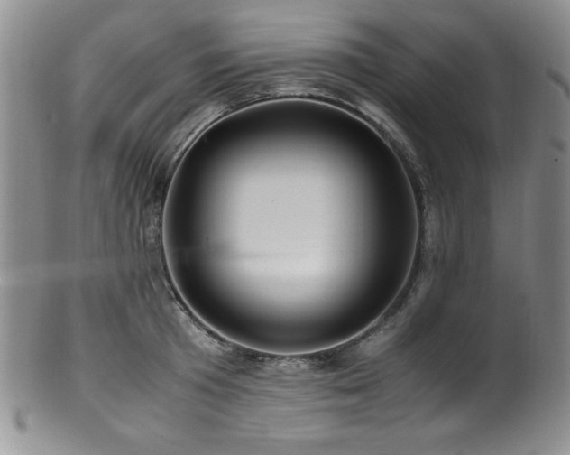 X0000100880801200806201245