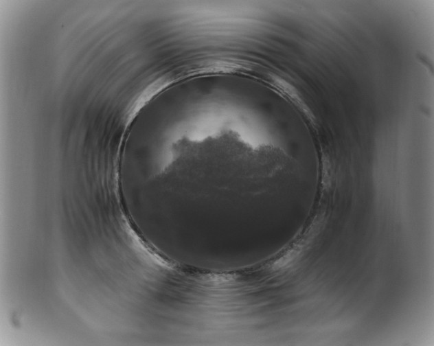 X0000100880802200806201245
