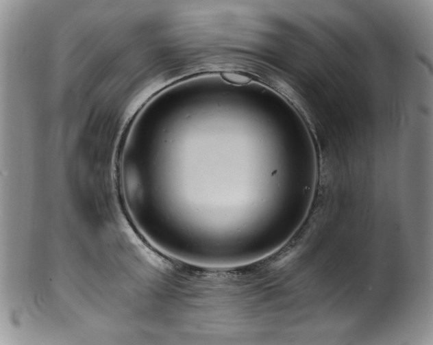 X0000100880803200806201245