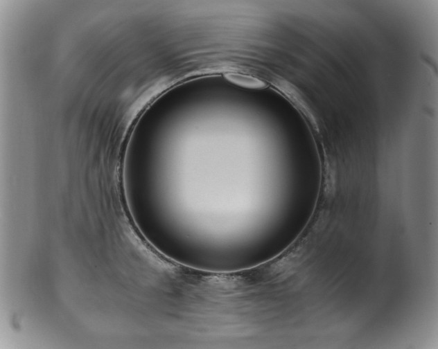 X0000100880805200806201245