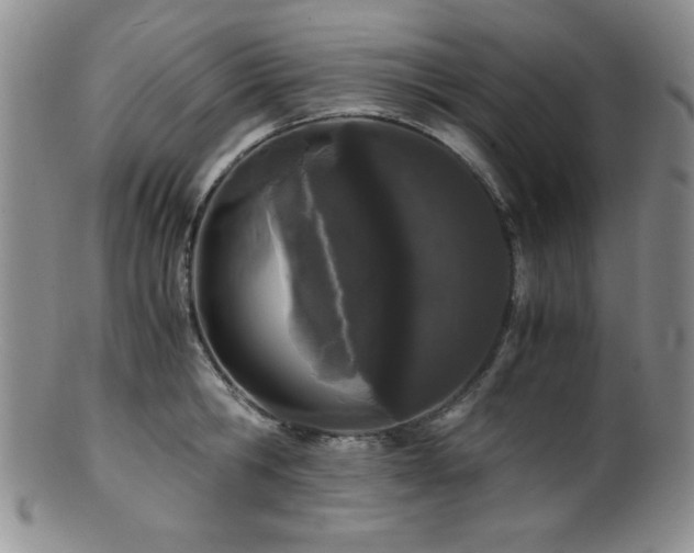 X0000100880806200806201245