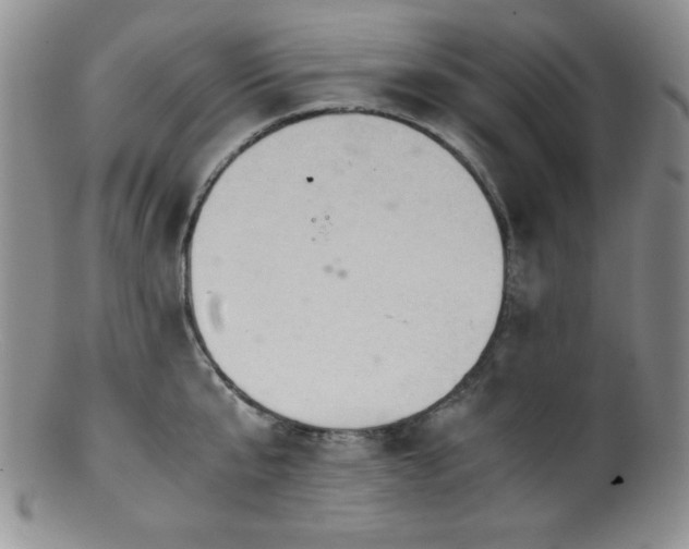 X0000100880807200806201245