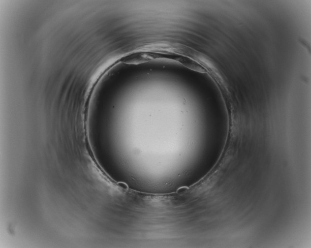 X0000100880808200806201245