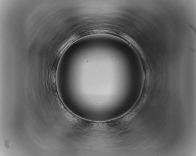 X0000100880809200806201245