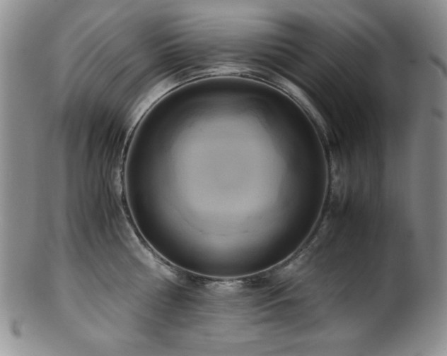 X0000100880810200806201245