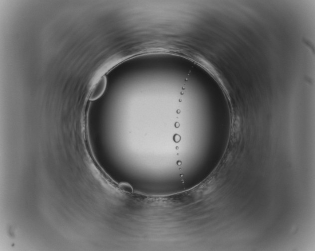 X0000100880811200806201245