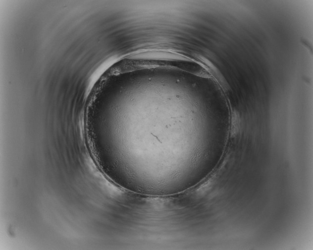 X0000100880812200806201245