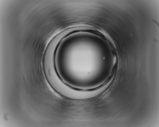 X0000100880813200806201245
