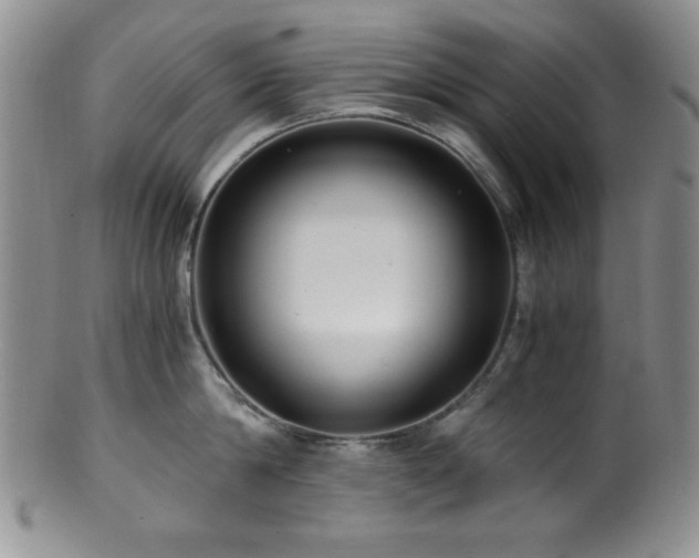 X0000100880814200806201245