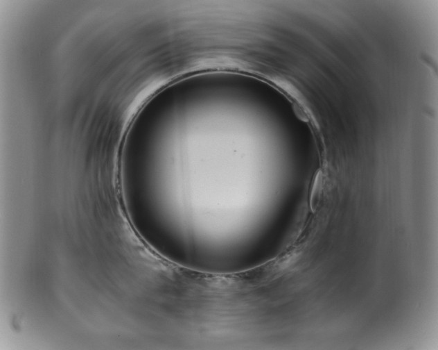 X0000100880815200806201244