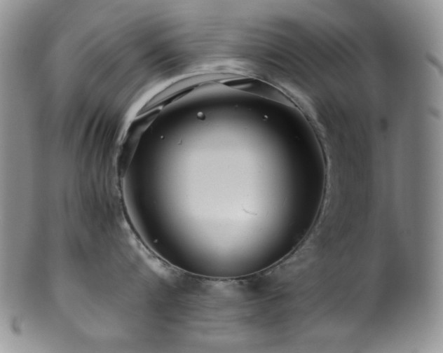 X0000100880816200806201244