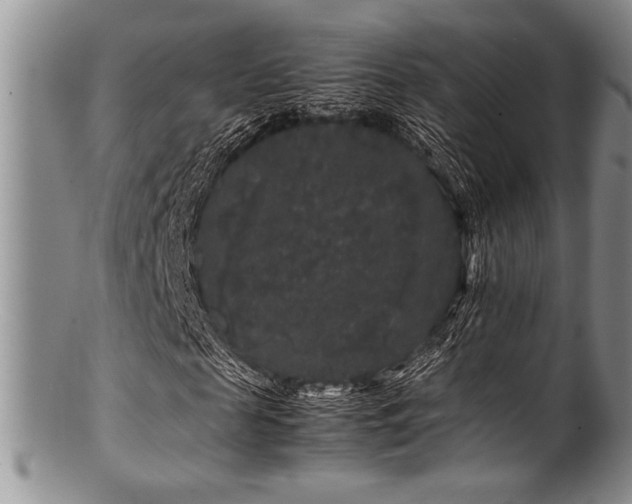 X0000100880817200806201244