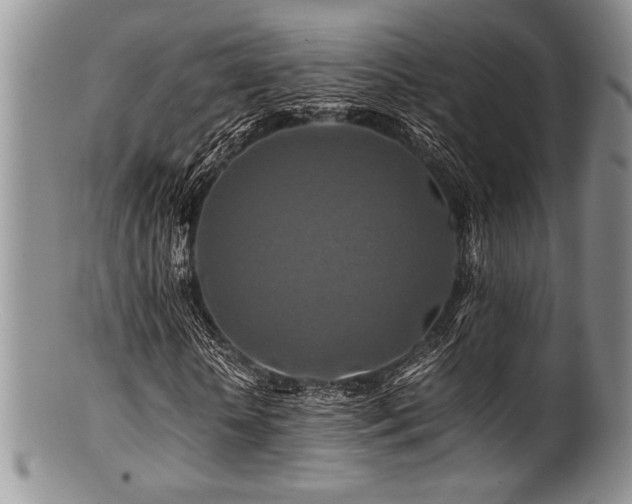 X0000100880818200806201244