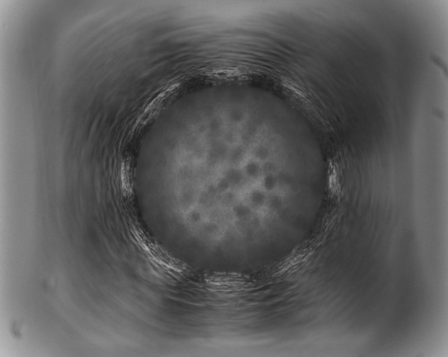 X0000100880819200806201244